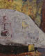 subversive surface